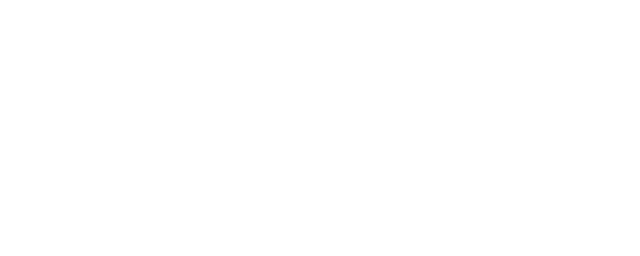 Frauenfußball in Karlsruhe - Blue Diamonds